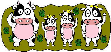 les vaches